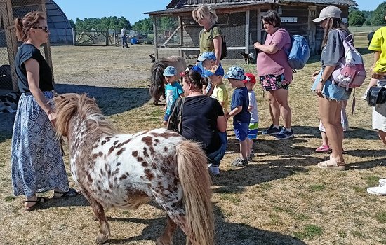 DZIEŃ RODZINY W GRUPIE MOTYLKI