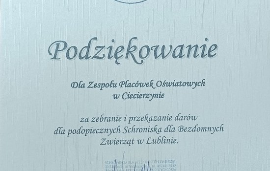 Dyskoteka z dobrym sercem – szkolna akcja pomocy zwierzętom