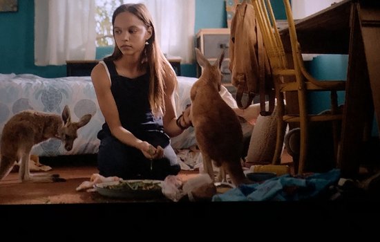 PSZCZÓŁKI, MADRE SOWY I SMERFY W MULTIKINIE