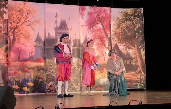 PSZCZÓŁKI, MĄDRE SOWY I SMERFY W TEATRZE