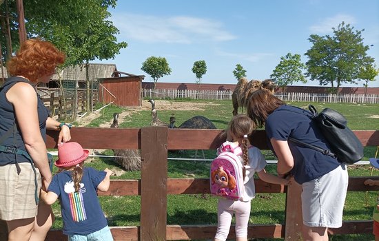 WYCIECZKA SŁONECZEK DO ZOO W WOJCIECHOWIE